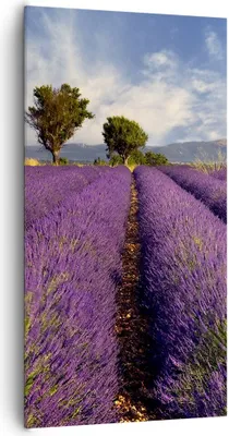 Produktbild von Bild auf Leinwand - Leinwandbild - Landschaft Wiese Pflanzen - 65x120cm - Wand Bild - Wanddeko - Leinwanddruck - Bilder - Kunstdruck - Wanddekoration - Leinwand bilder - Wandkunst - PA65x120-0128