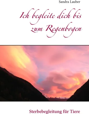 Produktbild von Ich begleite dich bis zum Regenbogen