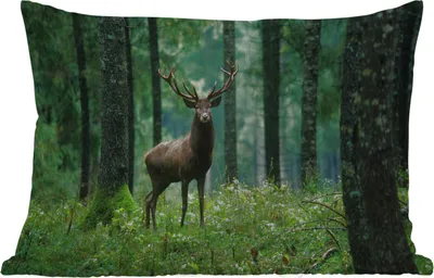 Produktbild von MuchoWow® Outdoor Kissen - Hirsche - Wald - Bäume - Tiere - Natur - 50x30 cm - Wetterfest - Lounge Kissen - Sofa kissen - Wohnzimmer Dekoration