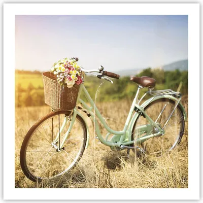 Produktbild von Poster - Poster ohne Rahmen - Fahrrad Wiese Blumen - 60x60 cm - Wand Bild - Wanddeko - Wandbilder - Kunstposter - Wandposter - Bilder - Kunstdruck - Wanddekoration - Wandbild - P2XAC60x60-4206