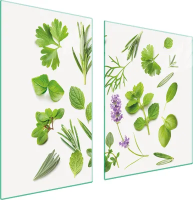 Image de Plaques de recouvrement pour cuisinière 2 pièces 100x52 Couverture de champ en vitrocéramique Planche à découper épices vert