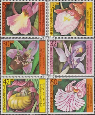 Produktbild von Briefmarken Bulgarien 1986 Mi 3441A-3446A (kompl.Ausg.) postfrisch Orchideen