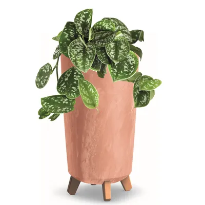 Obrázok produktu pre Kvetináč s nožičkami Hoh Planter D 24 cm Terakotové plastové kvetináče Betónová optika Cachepots Money Tree Kaktusy Rubber Tree