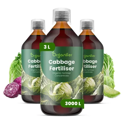 Obrázek produktu pro Tekuté Hnojivo pro Kapustu 3x1 L – 3-4-3 NPK – Pro Zeleninu & Kapustoviny – Pro Silné Hlávky & Zdravé Listy – Podporuje Kořeny & Vitalitu – Organifer