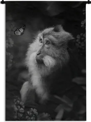 Produktbild von MuchoWow® Wandteppich Wandbehang Affe und Schmetterling im Dschungel - schwarz und weiß 90x135 cm Tapisserie Dekoration Wandtuch - Baumwolle - Wandskulptur