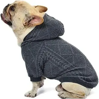 Immagine prodotto di Felpa con cappuccio Bulldog - grigio M