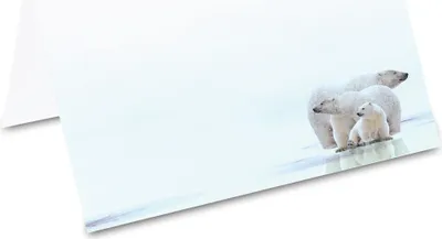 Produktbild von PRICARO Tischkarten "Eisbären", 50 Stück