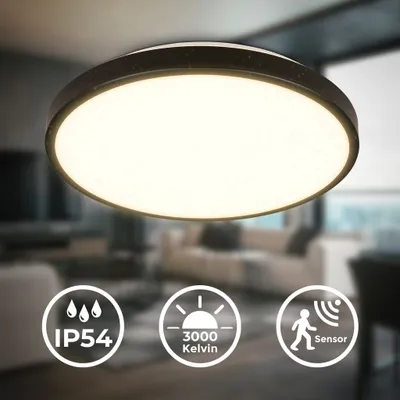 Produktbild von Deckenlampe Ø29 cm - 13W, 1300lm, LED, mit Bewegungsmelder, IP54, warmweiß, schwarz