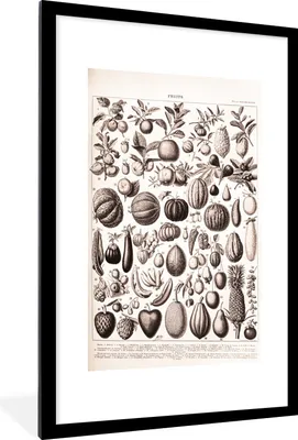 Produktbild von MuchoWow® Gerahmtes Poster Obst - Lebensmittel - Schwarz - Weiß 60x90 cm - Poster mit Schwarzem Bilderrahmen Wandposter Rahmen Foto Bilder - Dekoration - Wandposter Wohnzimmer - Hochwertig