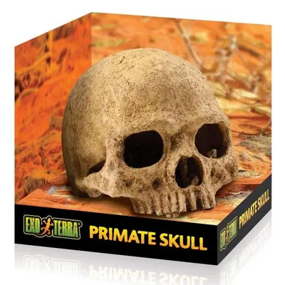 Produktbild von Exo Terra Versteck Primate Skull