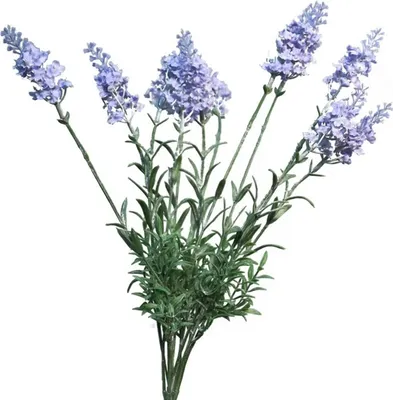 Produktbild von kunstblumenstraus Lavendel/Lavendula - 40 cm - blau - kunstliche Seidenblume