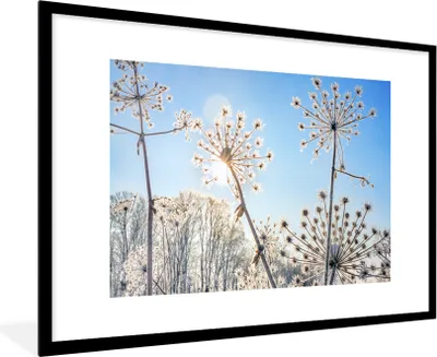 Produktbild von MuchoWow® Gerahmtes Poster Pflanzen - Schnee - Stilleben 90x60 cm - Poster mit Schwarzem Bilderrahmen Wandposter Rahmen Foto Bilder - Wanddekoration - Fotos