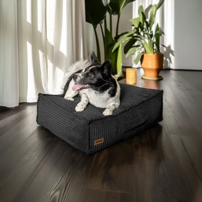 Produktbild von RAGI Hundebett 60x50 cm Hundematratze Hundekissen Hundesofa Tierbett Hundekorb Hundeliege Kuschelkissen Bezug abnehmbar Polstercord Graphit
