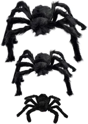 Image de Décoration de 3 araignées noires et poilues