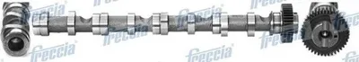 Produktbild von FRECCIA CM05-2195 Nockenwelle Einlass für VW GOLF VI (5K1) Polo Schrägheck (6R1, 6C1) TIGUAN (5N) für AUDI A4 Avant (8K5, B8) A6 Avant (4G5, 4GD, C7)