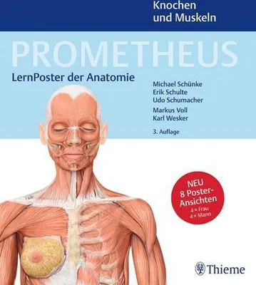 Obrázek produktu pro PROMETHEUS LernPoster der Anatomie, Knochen und Muskeln