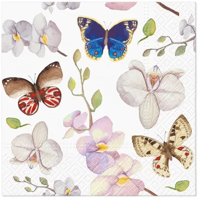 Produktbild von 20 Servietten Orchidea Butterfly - Schmetterlinge an Orchideen 33x33cm