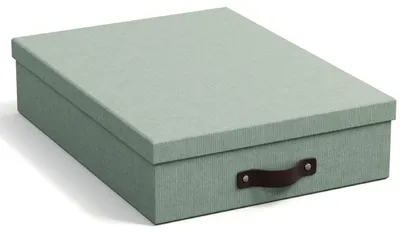 Image de Boîte à documents BIGSO OSKAR A4, boîte de rangement avec couvercle et poignée, vert menthe