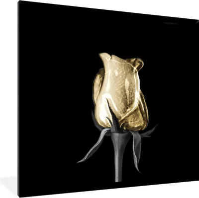 Produktbild von MuchoWow® MuchoWow® Gerahmtes Poster Rosen - Blumen - Gold - Schwarz 40x40 cm - Poster mit zchwarzem Bilderrahmen - Mit Rahmen - Wanddekoration Schlafzimmer
