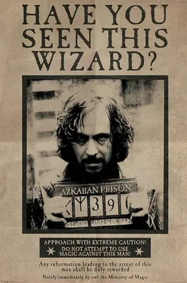 Produktbild von Pyramid International PP33681, 1 Stück(e), Wizarding World, Rechteck