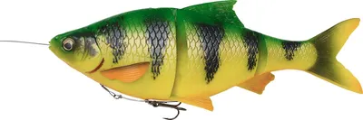 Produktbild von Savage Gear Hechtköder 4D Line Thru (Firetiger)