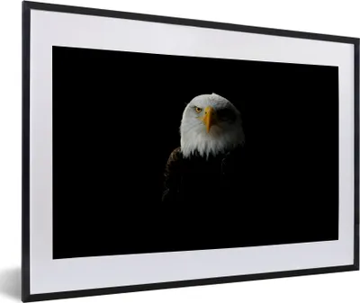 Produktbild von MuchoWow® MuchoWow® Gerahmtes Poster Ein Porträt eines Weißkopfseeadlers 60x40 cm - Poster mit zchwarzem Bilderrahmen - Schlafzimmer - Plakat in Rahmen - Drucken