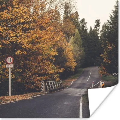 Produktbild von MuchoWow® Poster Bäume - Straße - Herbst 75x75 cm - Wand Dekoration