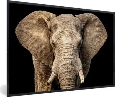 Produktbild von MuchoWow® MuchoWow® Gerahmtes Poster Elefant - Porträt - Schwarz 30x20 cm - Poster mit zchwarzem Bilderrahmen - Kunstdruck - Bild-Poster