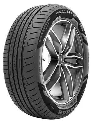 Obrázek produktu pro Radar DIMAX SPRINT 205/60 R16 96 W