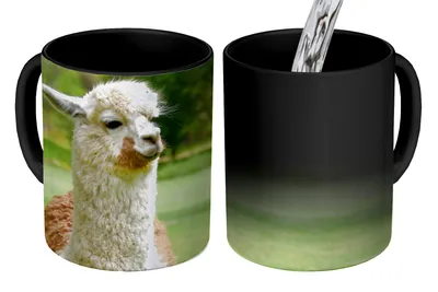 Obrázok produktu pre KitchenYeah® Magický hrnček Magický hrnček Magická alpaka - biela - hnedá - strom 350 ml Hrnček na zmenu farby Darčekový nápad - Magický hrnček - foto hrnček - keramické hrnčeky - obrázky - šálka na kávu - šálka na nápoje