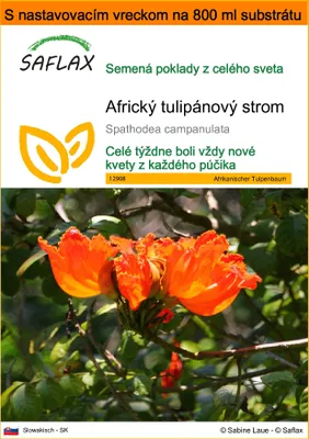 Obrázok produktu pre SAFLAX Garden in the bag - Africký tulipánový strom - Spathodea campanulata - 30 Semená - S pestovateľským substrátom v praktickom samostaviteľnom vrecku