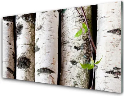 Produktbild von Acrylglasbilder 100x50 Wandbild Druck Bäume Natur