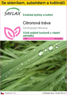Obrázek produktu pro SAFLAX Kultivační sada - citronová tráva - Cymbopogon flexosus - 50 Semena - S mini skleníkem, pěstebním substrátem a 2 květináči