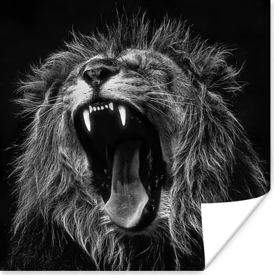 Produktbild von MuchoWow® Poster Löwen - Profil - Schwarz - Weiß 100x100 cm - Babyzimmer