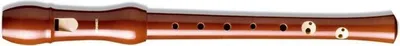 Produktbild von Hohner B9550