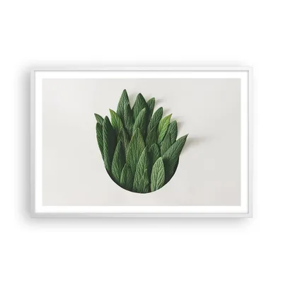 Produktbild von Gerahmtes Poster - Weißer Rahmen - Salbei Medizin Blätter - 91,5x61 cm - Wand Bild - Wanddeko - Wandbilder - Kunstposter - Wandposter - Bilderrahmen - Bilder - Kunstdruck - P2WAA91x61-4859