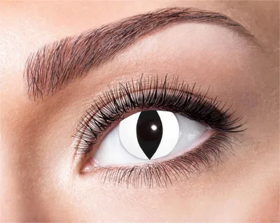 Produktbild von Eyecatcher Motivlinsen - farbige 3-Monats-Kontaktlinsen | m10 - Black Cat