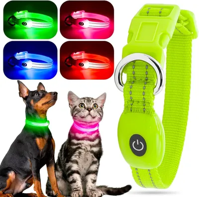 Productafbeelding van Lichtgevende halsband voor honden en katten - maat XS - oplaadbaar via USB - verstelbaar - groen