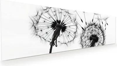 Produktbild von Glasbild 120x40cm in XXL für Wohnzimmer, Schlafzimmer Motiv Pusteblumen