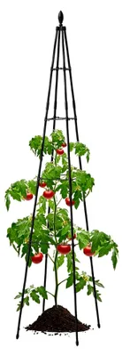 Produktbild von Rankgitter für Kübelpflanzen, Metall-Rankhilfe für Kletterpflanzen - Blumen-Rankkäfig als Dekoration für Garten, Terrasse und Balkon