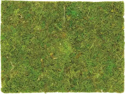 Produktbild von Moosplatte auf Netz grün 40x30 cm