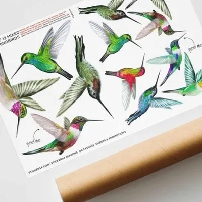 Zdjęcie produktu dla Piękne naklejki na okno kolibry ptaki dwustronne - ochrona przed ptakami - dekoracyjne naklejki na okno dekoracja okna parapet