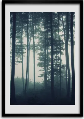 Produktbild von Bild - Bilderrahmen - 50 cm x 70 cm - MDF - Rahmen - Wandkunst Nebel im Wald