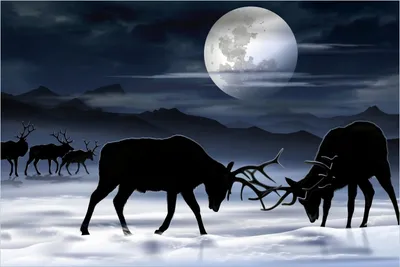 Produktbild von Wallario Premium Glasbild, freischwebende Optik, kräftige Farben, Größe 90 x 60 cm Motiv Elch im Schnee bei Mondschein - Silhouette am Abend