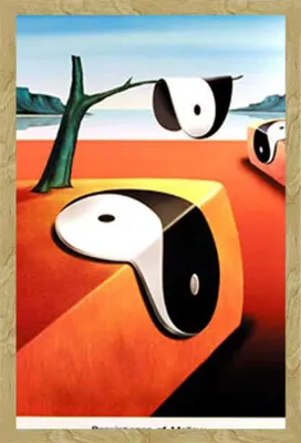 Immagine prodotto di Fun - Poster - Persistence + cornice rimovibile, Shinsuke® Maxi MDF faggio, vetro acrilico