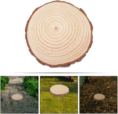 Produktbild von Runde Gartenplatten aus Holz 24,5cm als Trittsteine für Garten und Terrasse, Gartendekoration und Pflastersteine