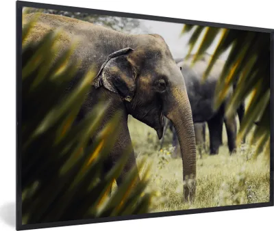 Produktbild von MuchoWow® MuchoWow® Gerahmtes Poster Elefant - Natur - Blätter 90x60 cm - Poster mit zchwarzem Bilderrahmen - Fotorahmen - Foto-Plakat