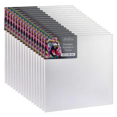 Image de Châssis Cretacolor 40 x 40 cm - Lot de 16 - Kit de toiles - Toiles de peinture haut de gamme sur châssis en bois - Toile en coton pour l'acrylique, l'huile et les techniques mixtes