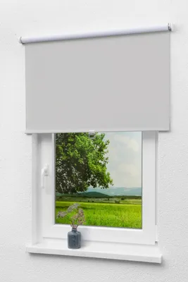 Produktbild von Lysel - Qualitätsspringrollo abdunkelnd (B x H) 123cm x 190cm in grau