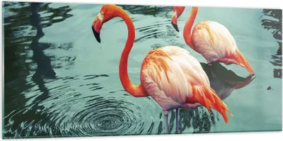 Produktbild von Bilder auf glas - Einteilig - Rosa Flamingos Wasser - 120x50cm - Glasbilder - Wandbilder - Bilder - zum Aufhängen bereit - Wanddekoration aus Glas - Glas Bilder - Wandbild auf Glas - GAB120x50-4203
